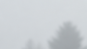 Vidrio trasero con líneas antiempañantes en auto oscuro bajo lluvia y niebla. Desempañador trasero en funcionamiento.