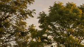 Sedanes modernos con maleteros abiertos en una plaza al atardecer.