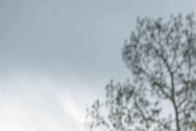 Hennessey VelociRaptor: el SUV familiar con esteroides