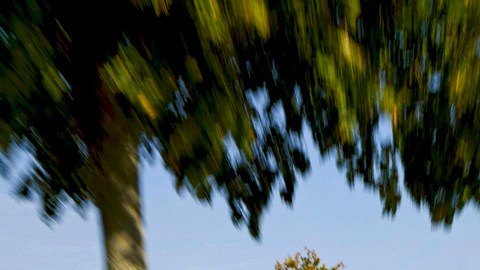 Volkswagen Golf blanco rodando por carretera secundaria en paisaje rural, fotografía en movimiento del compacto alemán
