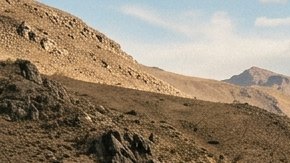 Fotografía de las camionetas Toyota Hilux, Tacoma, Tundra y Ram 3500 en un camino rústico de montaña.