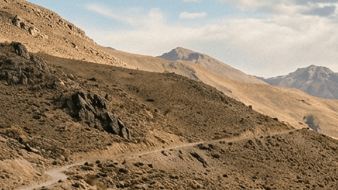 Fotografía de las camionetas Toyota Hilux, Tacoma, Tundra y Ram 3500 en un camino rústico de montaña.
