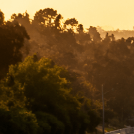 Tráfico denso en autopista al atardecer con fila de autos y camiones hacia el centro de la ciudad, congestión vehicular urbana.