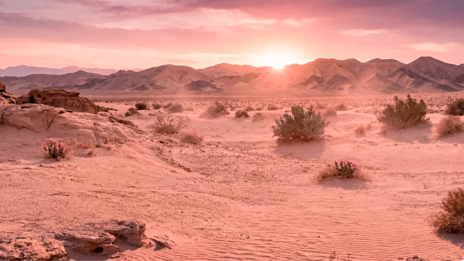Bronco Desert Rising Edition: el atardecer rosado impreso en una Bronco