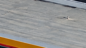 Vista aérea de gasolinera Shell y Circle K con varios autos estacionados junto a las bombas.
