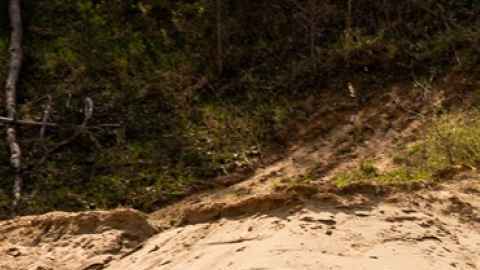 Jeep Grand Cherokee Trailhawk 2026.
