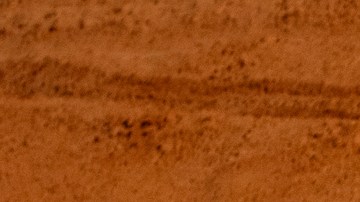 Jeep en busca de seguir conquistando el desierto con sus vehículos
