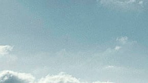 Fallas en el airbag pueden ser riesgosas para los pasajeros delanteros