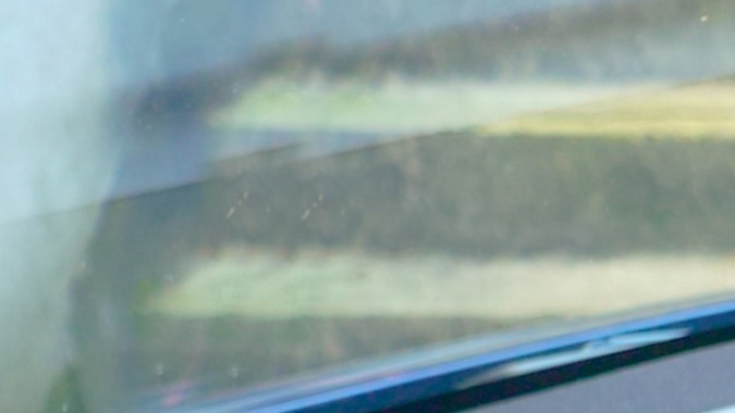 cachorro negro espera a los propietarios dentro del coche Tesla de alta tecnología que permite a los conductores dejar a sus mascotas desatendidas en el coche con aire acondicionado encendido.