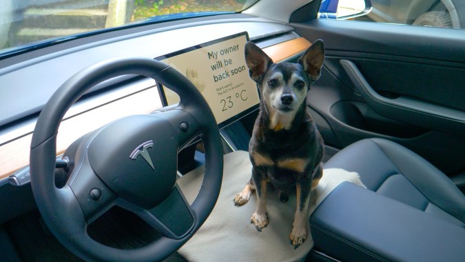 cachorro negro espera a los propietarios dentro del coche Tesla de alta tecnología que permite a los conductores dejar a sus mascotas desatendidas en el coche con aire acondicionado encendido.
