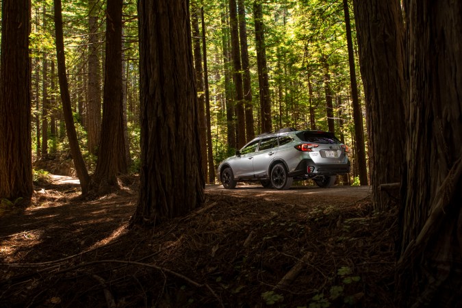 Subaru Outback 2022 Onyx Edition XT plateado en bosque de secuoyas, aventura off-road.