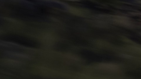 Un diseño que destaca cuatro niveles de interpretación