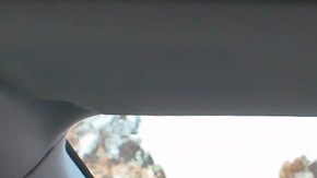 Vista desde el habitáculo con Comma Four en el parabrisas circulando por una autopista