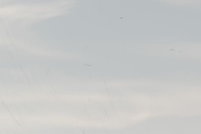 Rivian R2 blanco 2027 levantando polvo en camino de tierra, vista trasera.