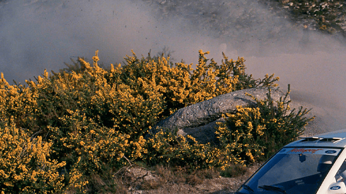 Ford vuelve al Mundial de Rally en 2028 y prepara una nueva generación de autos