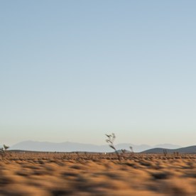 Kia EV6 gris circulando por una carretera del desierto, vista de frente y de lado.