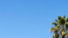 Hileras de autos usados en venta en un lote soleado con banderines de colores, palmeras y colinas al fondo