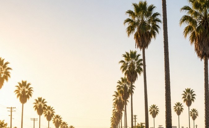 Pequeño lote de autos usados junto a una avenida con palmeras en Los Ángeles al atardecer