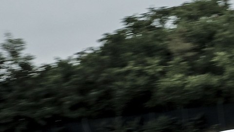 Maserati Levante Trofeo blanco circulando a alta velocidad en un circuito con árboles al fondo