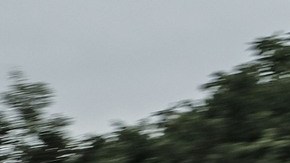 Maserati Levante Trofeo blanco circulando a alta velocidad en un circuito con árboles al fondo