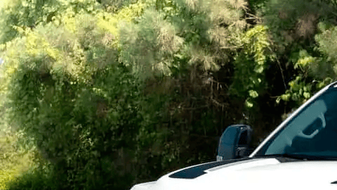 Una Super Duty pensada para salir del asfalto gracias a Roush