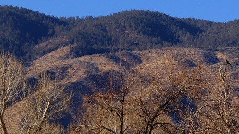 Fila de tractocamiones de colores estacionados en un área de descanso de una carretera de California, con montañas al fondo