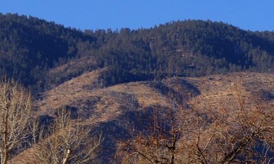Fila de tractocamiones de colores estacionados en un área de descanso de una carretera de California, con montañas al fondo