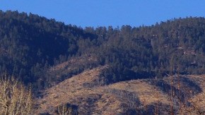 Fila de tractocamiones de colores estacionados en un área de descanso de una carretera de California, con montañas al fondo