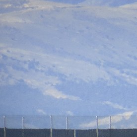 Venados cruzando un puente para fauna sobre una carretera rural con una señal amarilla de cruce de venados.