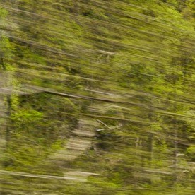 Volkswagen Tiguan 2025 SEL R-Line verde circulando por una carretera de montaña