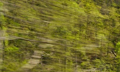Volkswagen Tiguan 2025 SEL R-Line verde circulando por una carretera de montaña