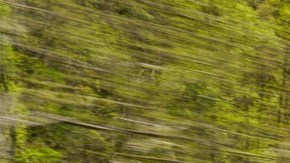 Volkswagen Tiguan 2025 SEL R-Line verde circulando por una carretera de montaña